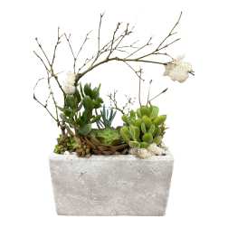 Succulent Shelter Planter