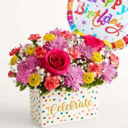 Celebrate the Day