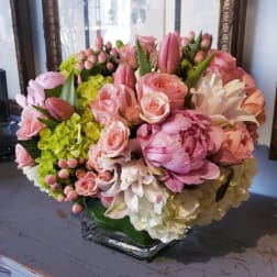 Spring in Paris