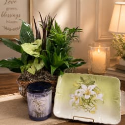 Lily Garden Retreat