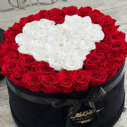 Red & White Heart Preserved Roses Luxury Velvet Box™
