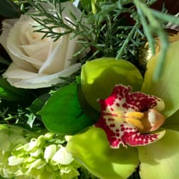 Close-up of a white rose, green cymbidium orchid, and pale green hydrangea blooms