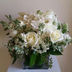 White roses and ranunculus in a square glass vase