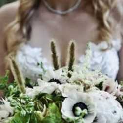 Let's Elope!