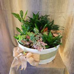 Graceful Garden