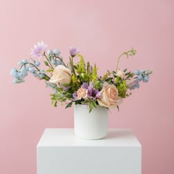 Primavera