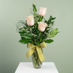 Three pale pink roses in a glass vase with a gold ribbon