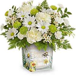 White daisies and green pom flowers in a painted glass vase