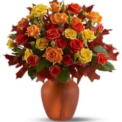 Amber Roses