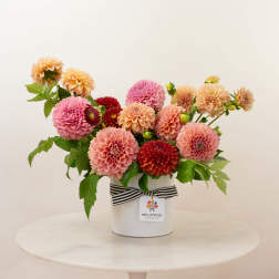 Pink and peach dahlias arranged in a white vase with a striped ribbon