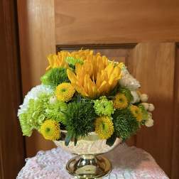 Sunny Days