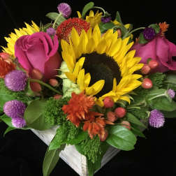Low arrangement of sunflowers, pink roses, and bright mixed blooms in a white wooden box.