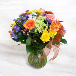 ED20 Burst of Color