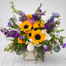 Bright mixed bouquet with yellow sunflowers, purple blooms, and white flowers in a square container