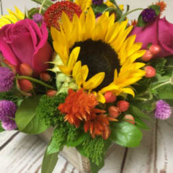 Low wood box arrangement with a sunflower, pink roses, and bright mixed flowers.