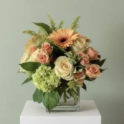 Vivid Blooms