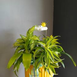 Potted green houseplants in a yellow container with a small cloud topper
