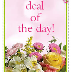Pink greeting card with flowers and the words "deal of the day!"