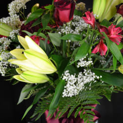 Bouquet of burgundy roses and pale lilies with white filler flowers