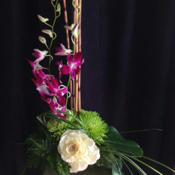Tall floral arrangement with pink orchids, green chrysanthemums, and a white cabbage rose