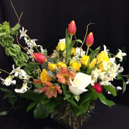 Tulip, Rose & Orchid Garden