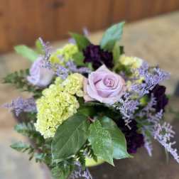 Lavender Grace