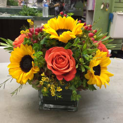 Sunflower and coral rose arrangement in a square glass vase