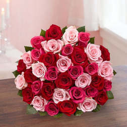Bouquet of red, pink, and pale pink roses