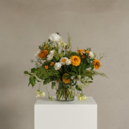 Gaia - Sustainable and Local (Designer's Choice)