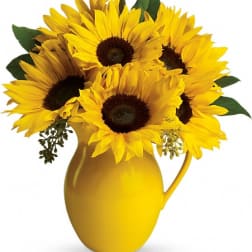 Sunny Day Pitcher of Sunflowers