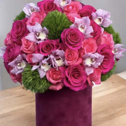 Pretty in Pinks