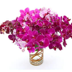 Bouquet of pink and white orchids in a clear glass vase