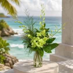 Green orchid arrangement in a clear glass vase