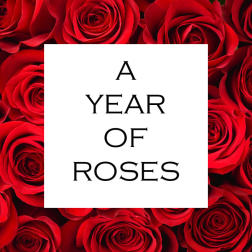 Red roses surrounding a white square with the words A YEAR OF ROSES