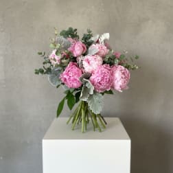 Pink Peonies