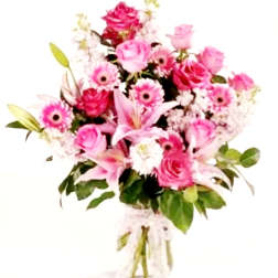 Pink Harmony
