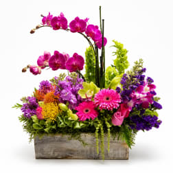 Bright mixed floral arrangement in a wooden planter with arching orchids