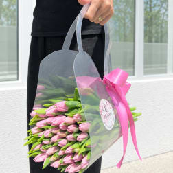 Person holding a clear bag of pink tulips tied with a pink ribbon