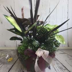 Potted tropical foliage arrangement with a ribbon bow