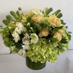 Citrus Mojito