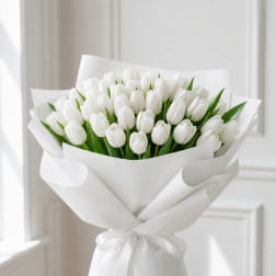 Bouquet of white tulips wrapped in white paper with a ribbon
