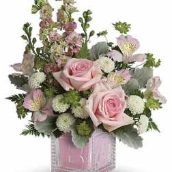 Bundle of Joy Pink