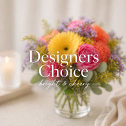 Designers Choice Bright & Cheery