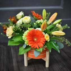 Sizzlin' Summer Blooms