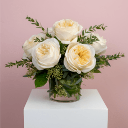 Garden Roses