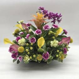 Island Bloom