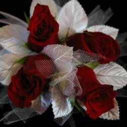Red roses with white leaves and tulle on a black background