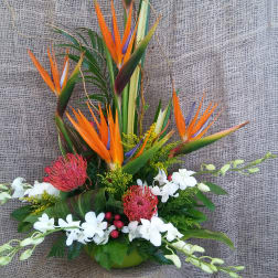 Tall tropical flower arrangement with orange bird of paradise and white orchids