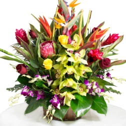 Tropical flower arrangement with orchids, roses, and bird-of-paradise in a basket
