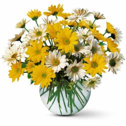 Bouquet of yellow and white daisies in a round glass vase